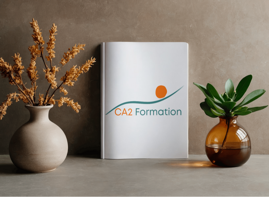 audit et conseil pour ca2 formation